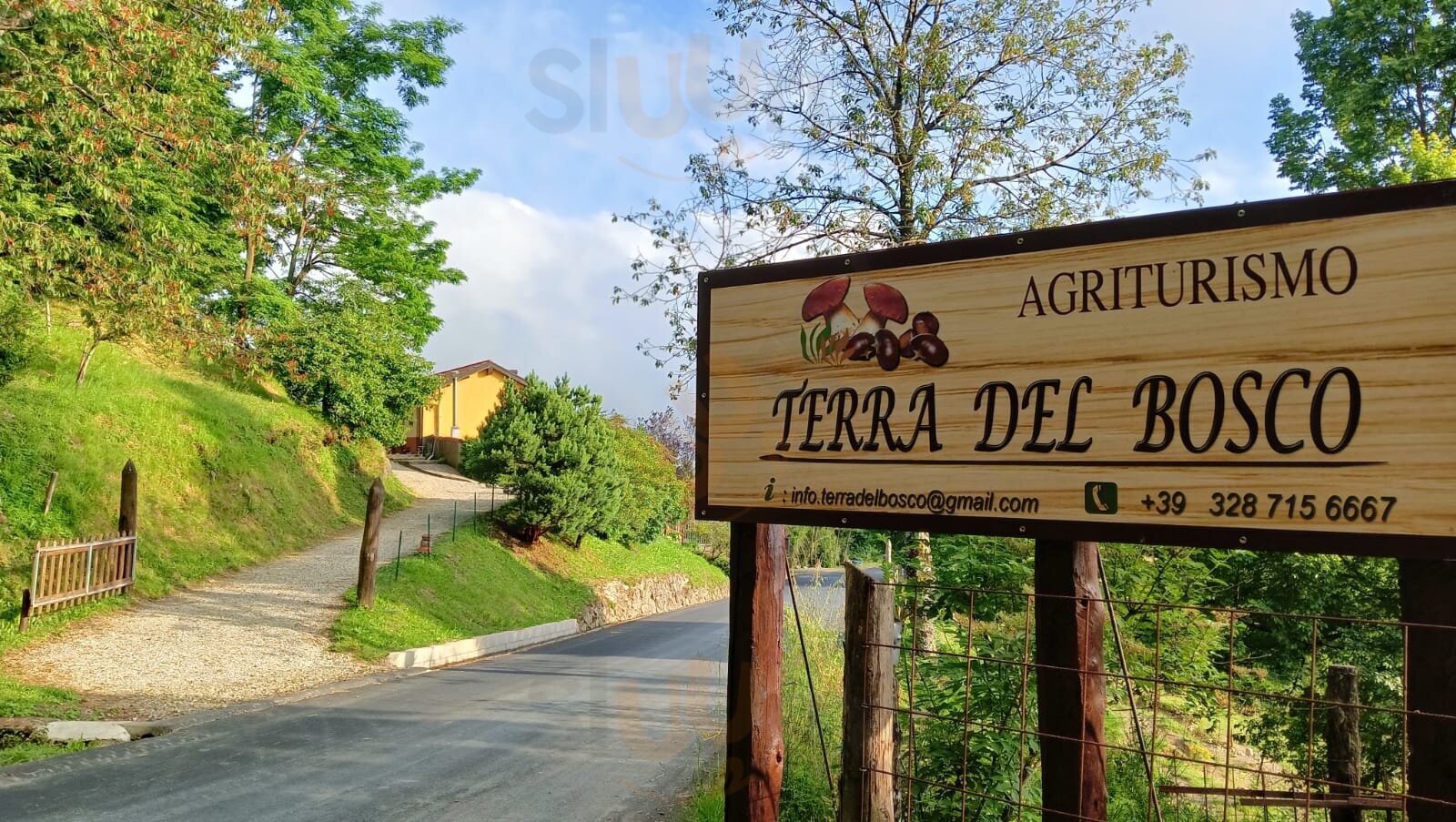 Foto 3 di Agriturismo Terra Del Bosco