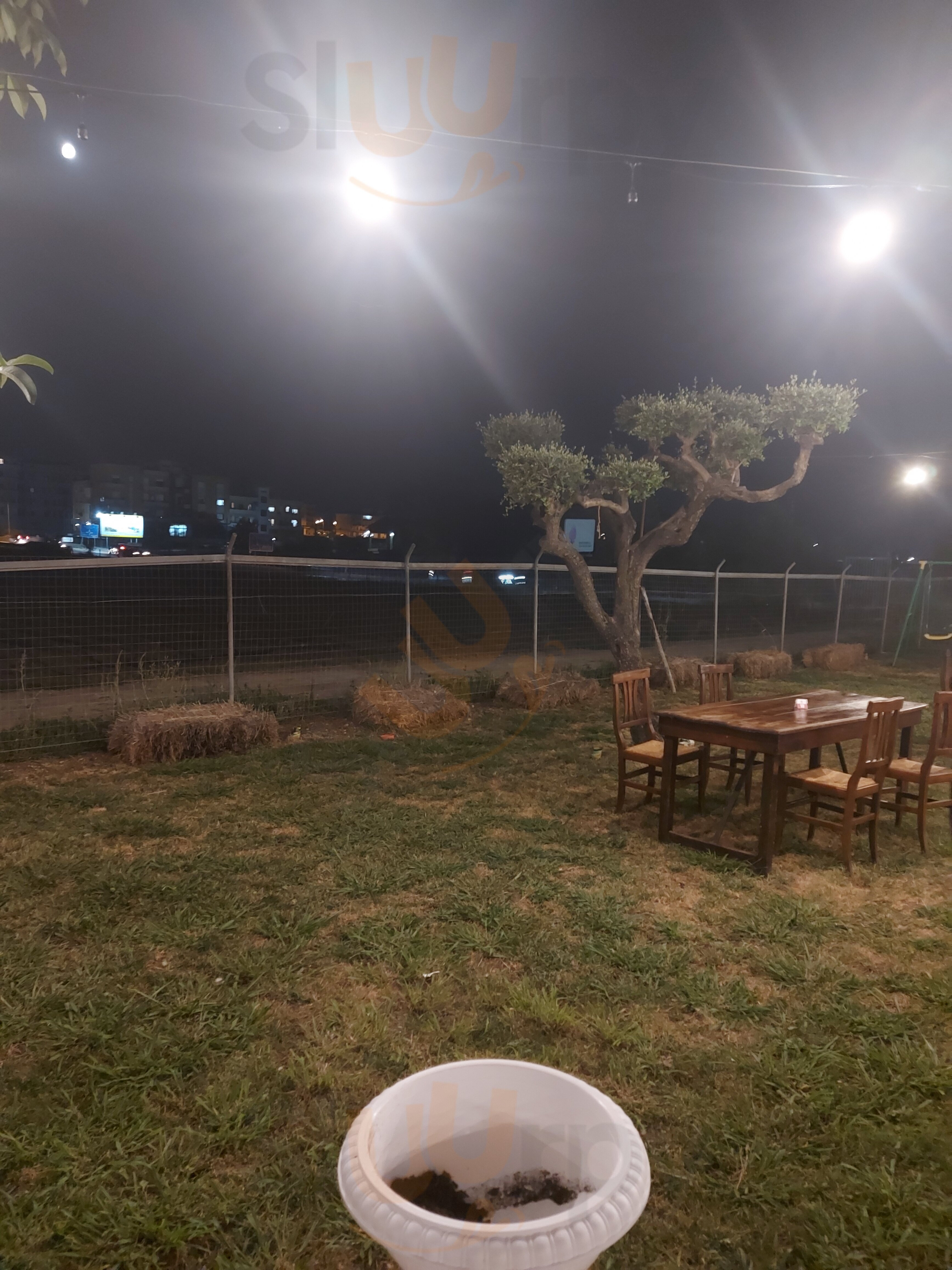 Foto 5 di Pizzeria Asso 'e Coppe