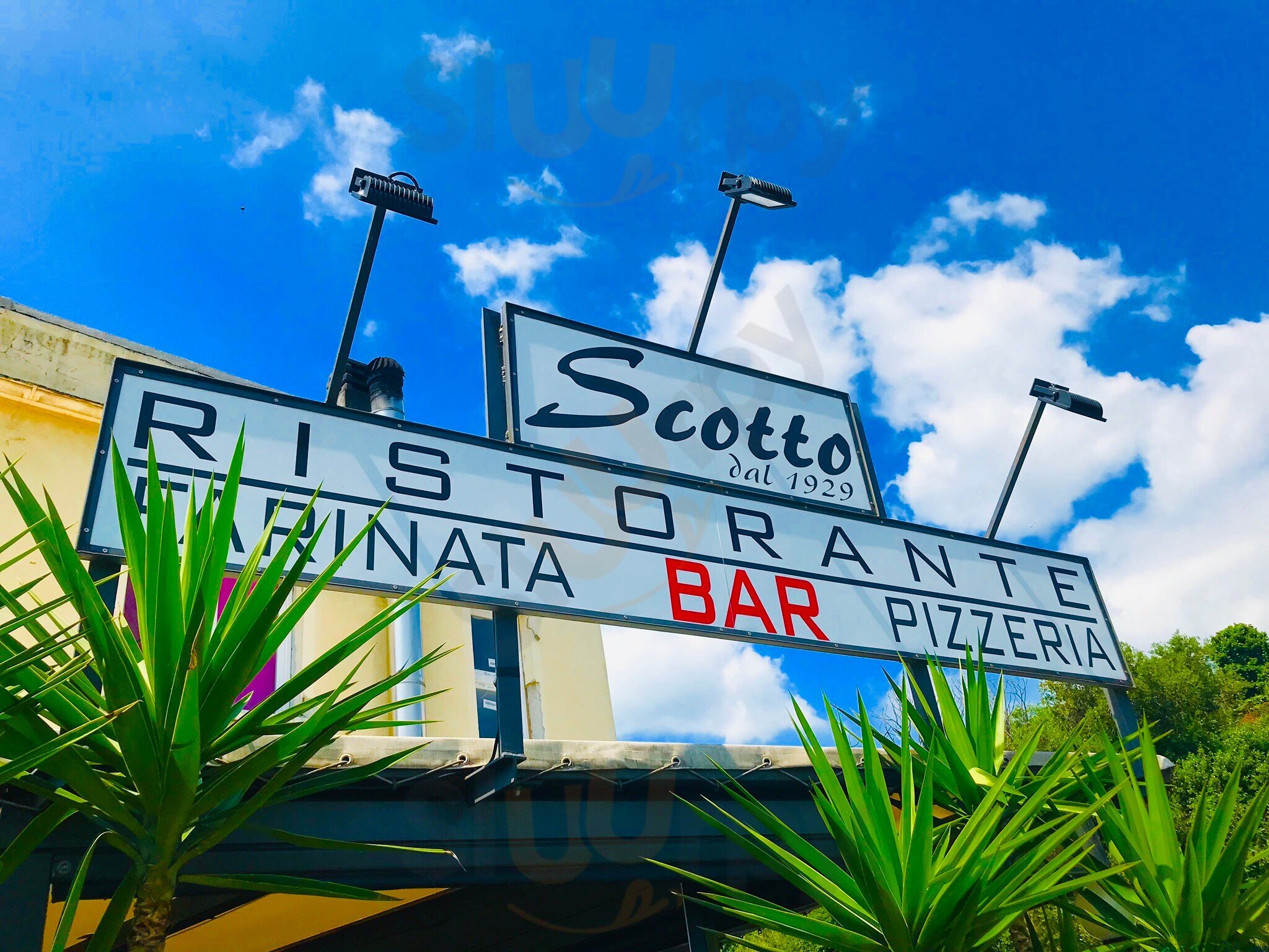 Foto 2 di Scotto Dal 1929, Ristorante, Farinata