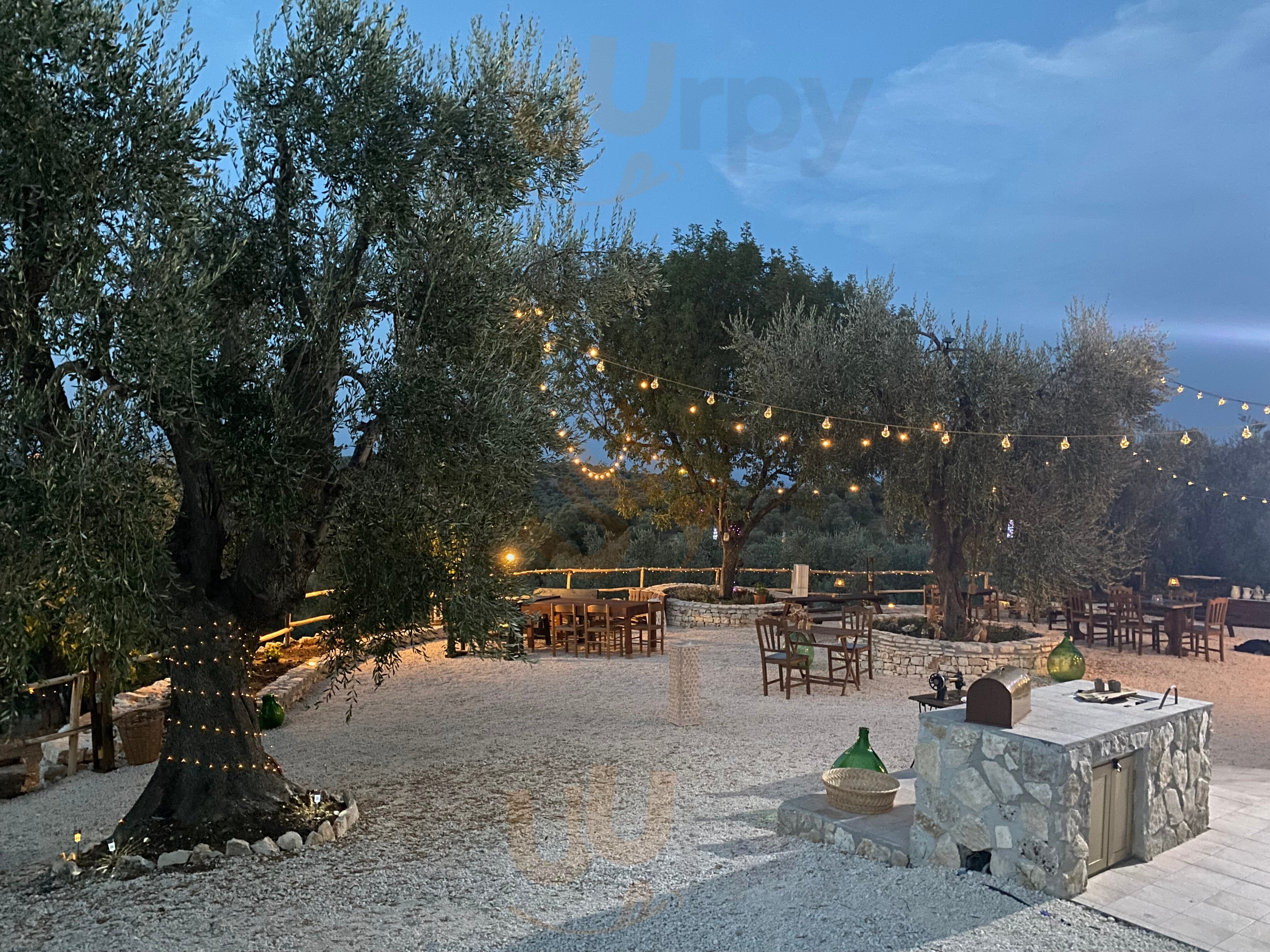Foto 4 di Azienda Olio Della Valle