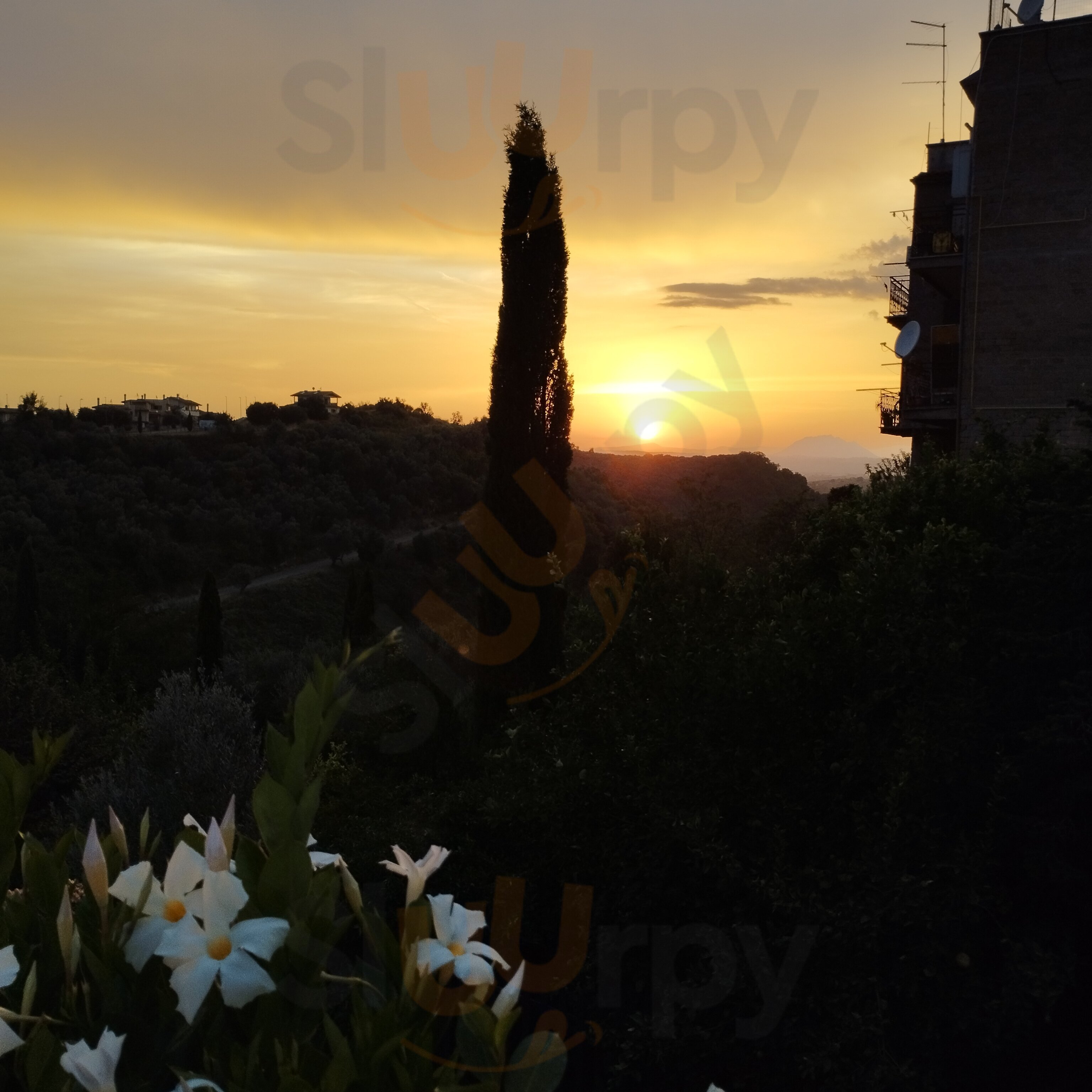 Foto 2 di Civico Sedici