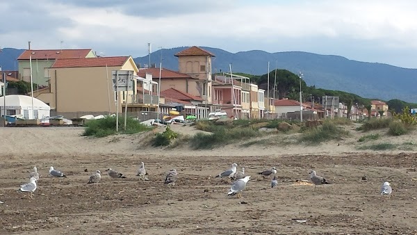 Da Sibilla, Follonica