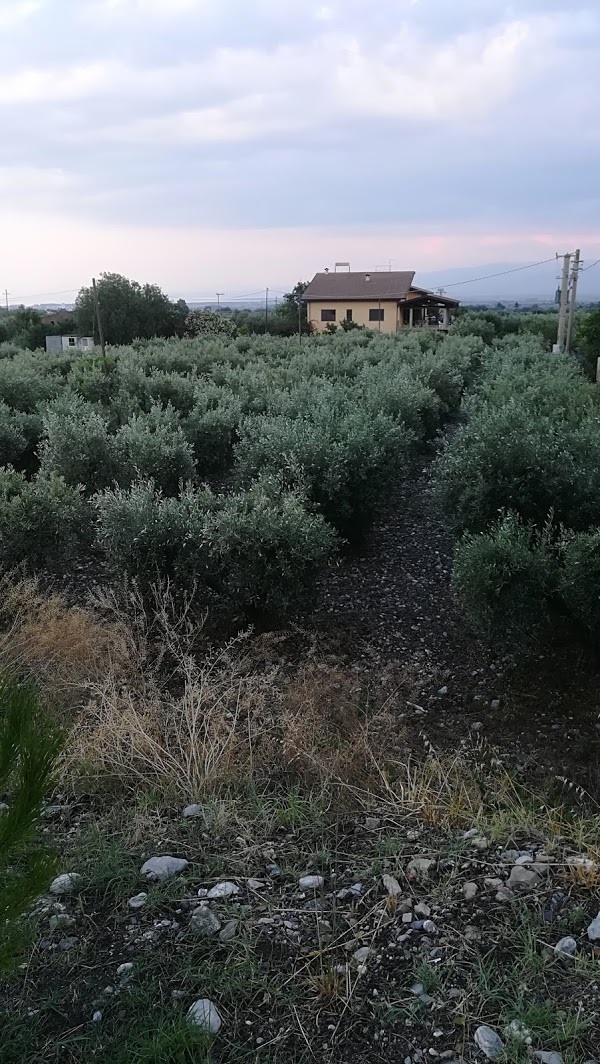 La Campagnola, Cerchiara di Calabria