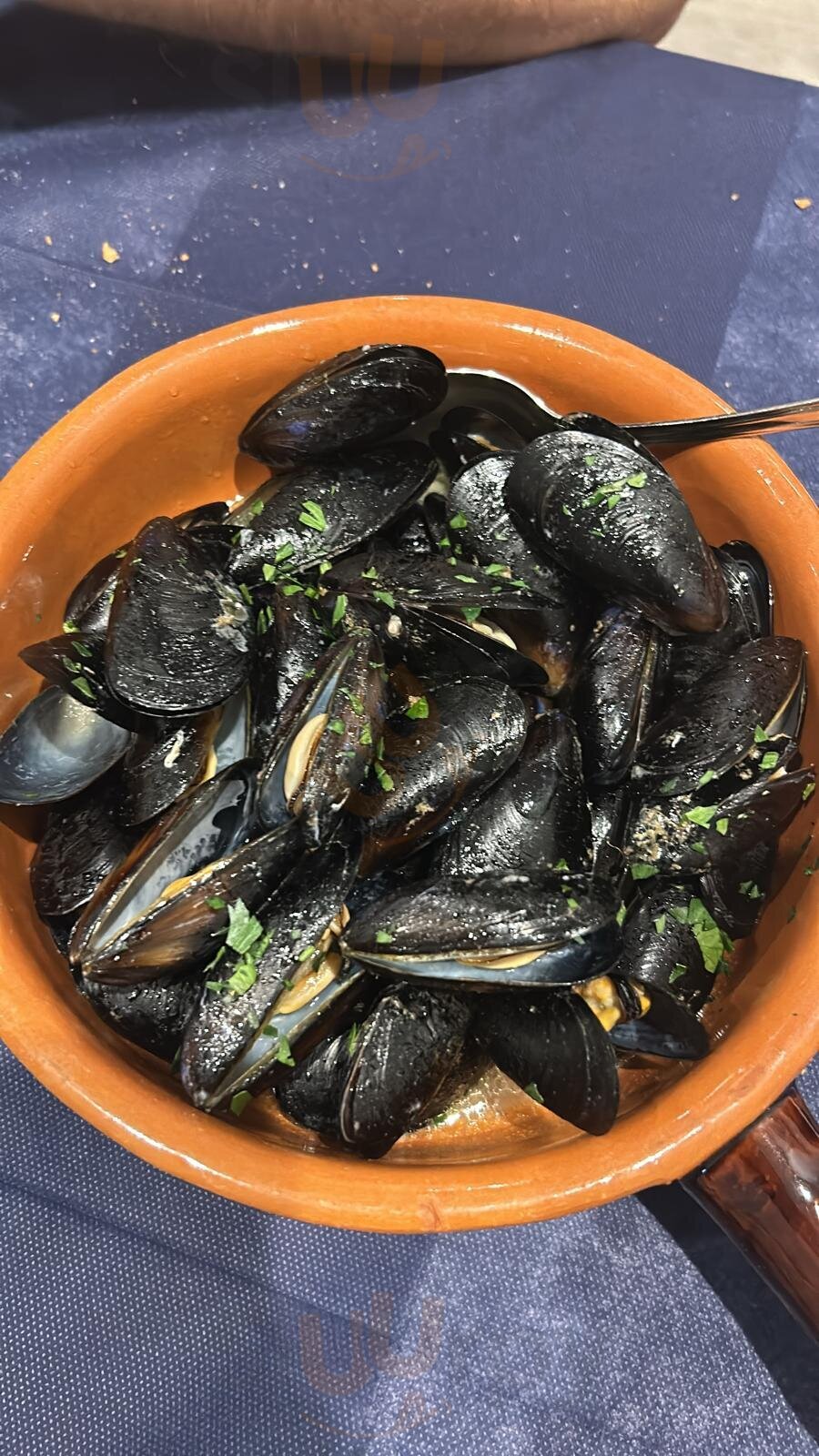 Foto 2 di Stella Marina - Ristorantino Di Pesce