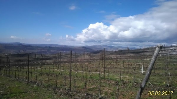 Hostaria Di Cansignorio, Soave