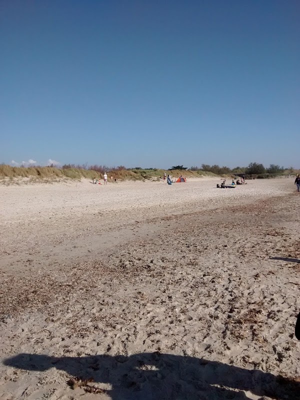 Dune Mosse, Marina di Bibbona