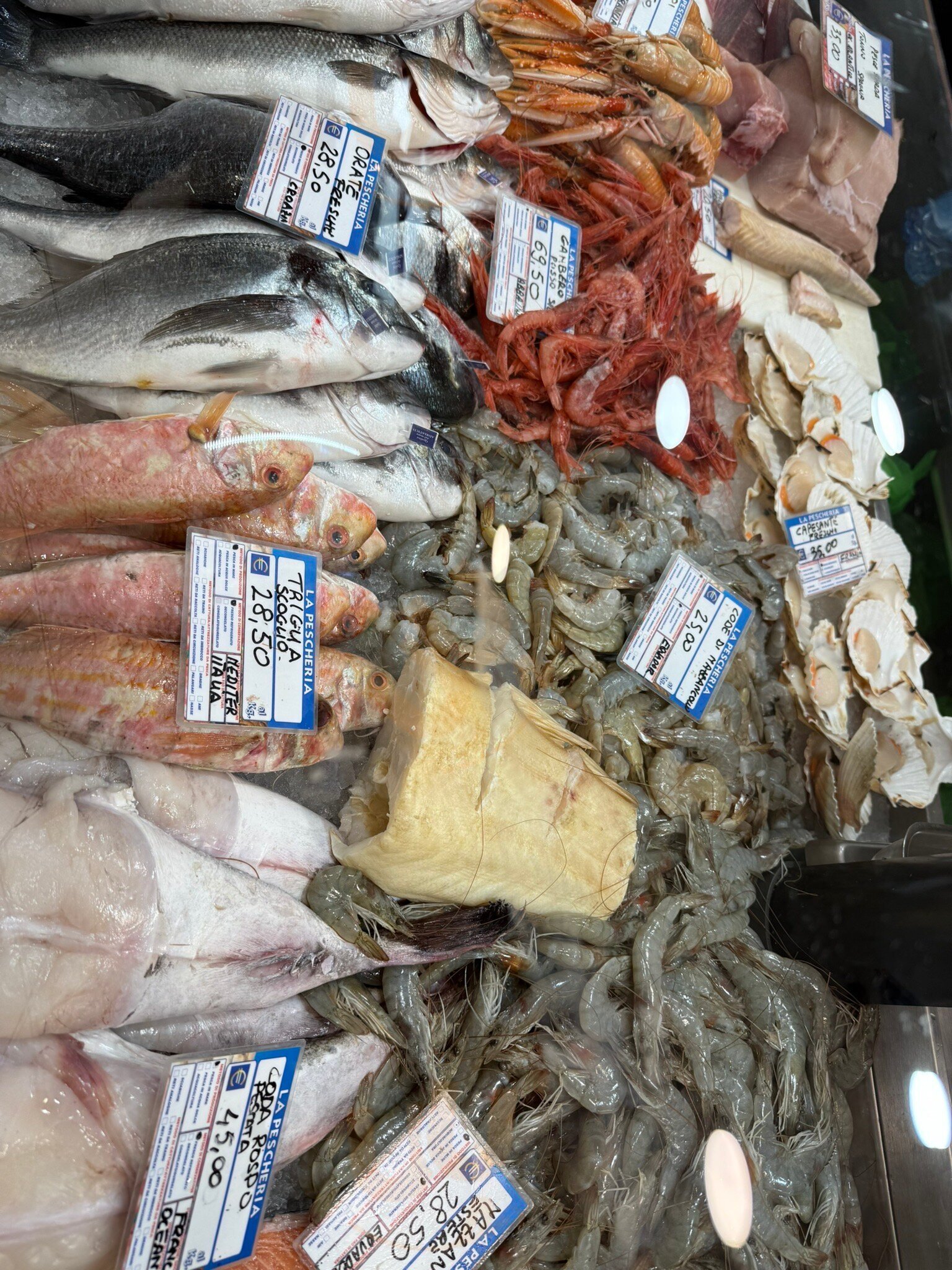 Ristopescheria Gastronomia" Stella Di Mare Modena "di Laritonda Luca, Modena