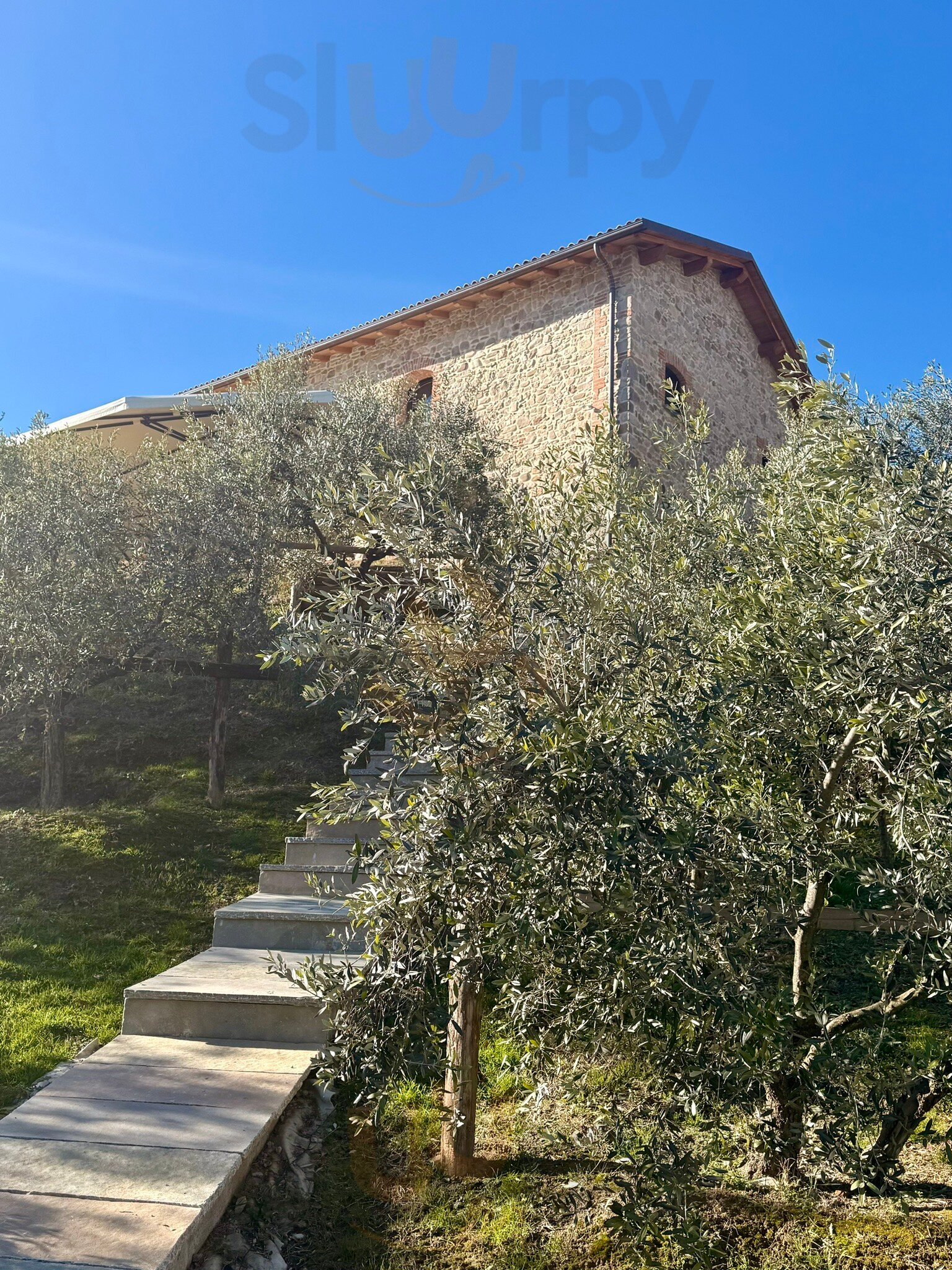 Foto 4 di Agriturismo Fienile Berti