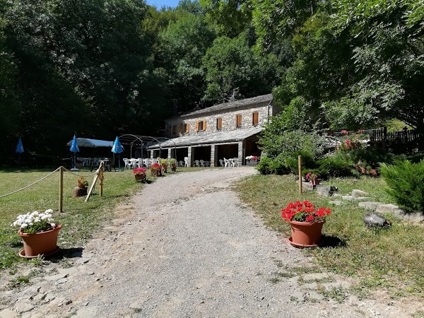 Foto di Trattoria Budiara - 7/10