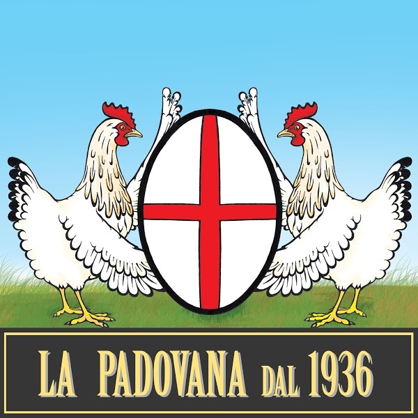 La Padovana, Latina