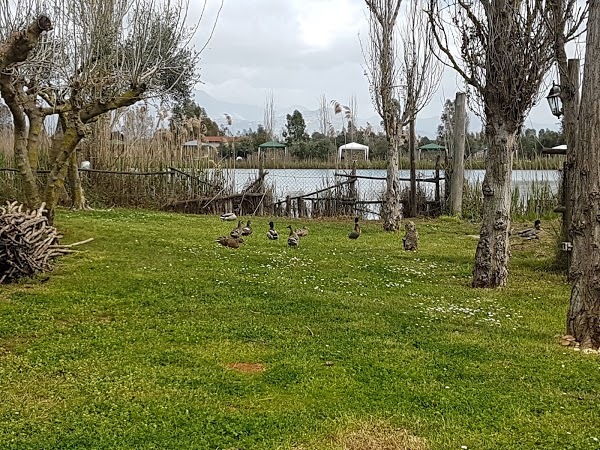 La Casa Del Lago, Latina