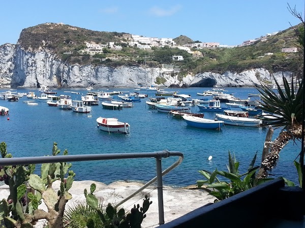 Il Falco, Ponza