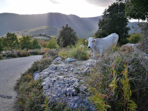 Il Rifugio Pornito, Formia