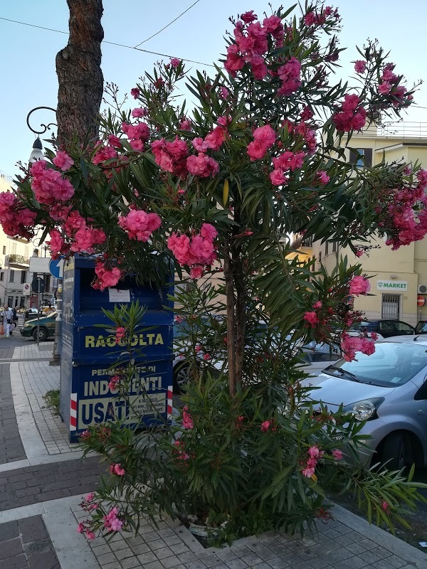 Pizzeria San Giovanni, Formia