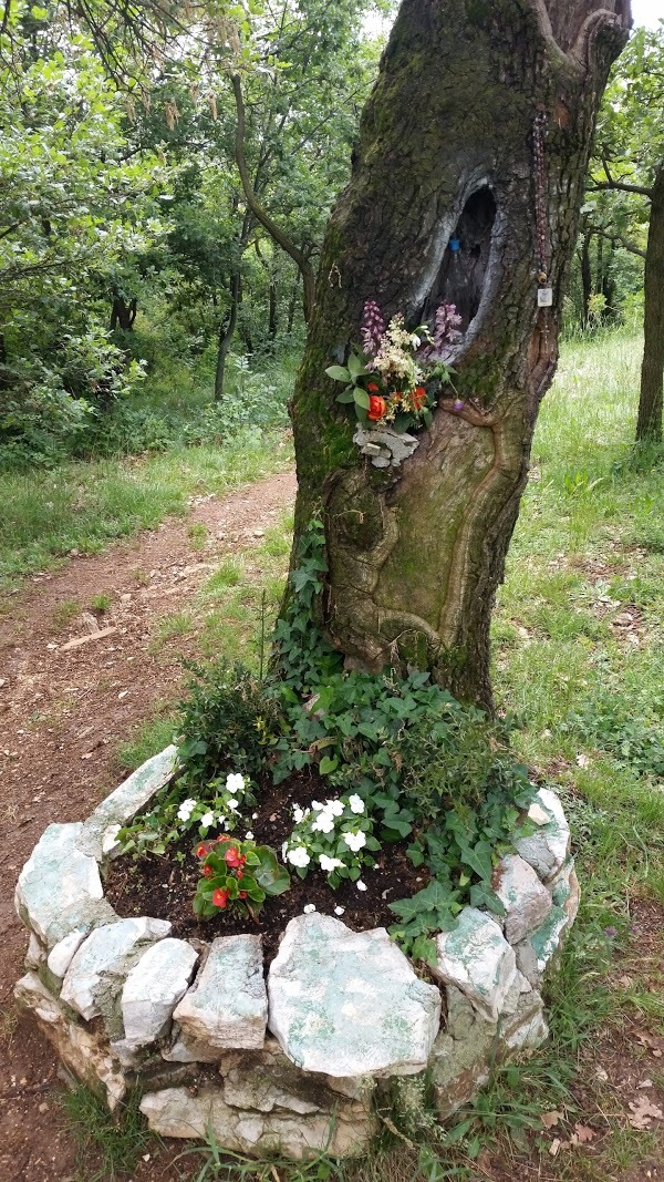 L'osteria Del Quartino Nella Tana Del Luf, Brescia