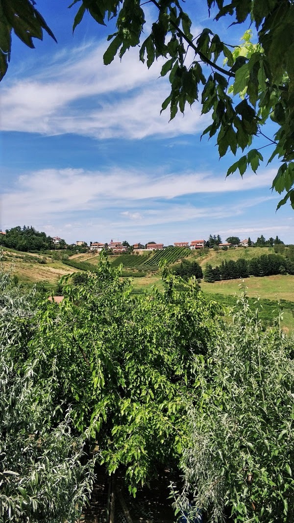 Agriturismo Cielo&terra, Roncofreddo