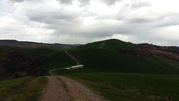 In Fattoria, Castrocaro Terme e Terra del Sole