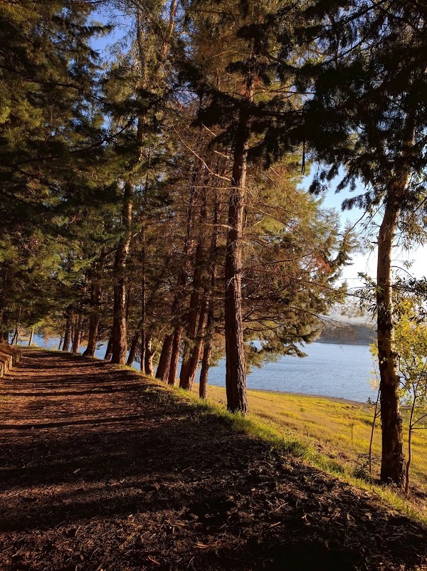 Foto di Masseria Crisci La Locanda Sul Lago - 6/10
