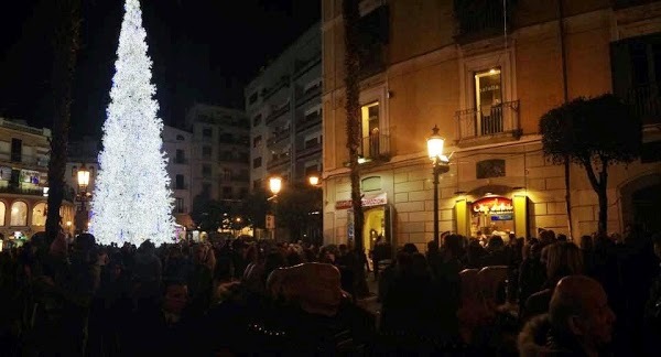 Chipsland, Salerno