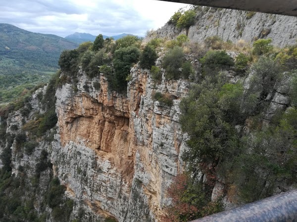 Tenuta Tosi, Felitto