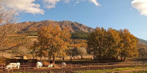 Agriturismo Le Tre Masserie, Moiano