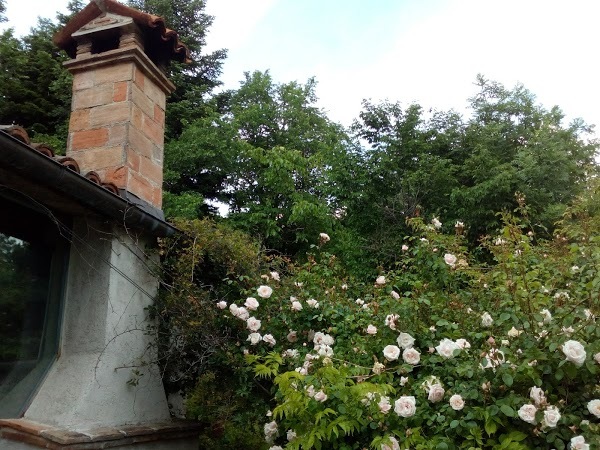 Azienda Agrituristica Il Capanno Di Romanelli Giulietta, Casteldelci