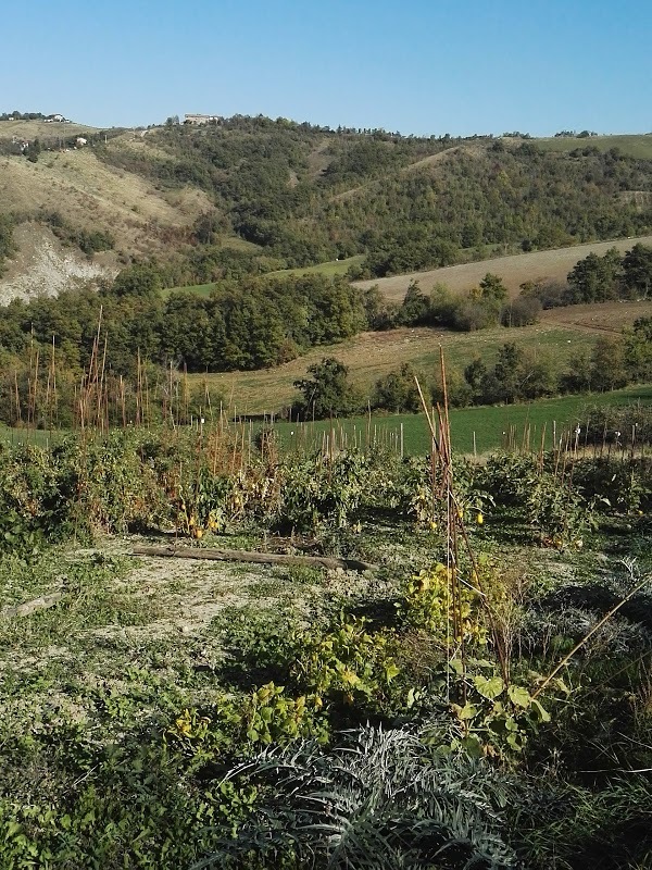 La Bizentina  Agriturismo Di Franchini Guglielmo, Serramazzoni