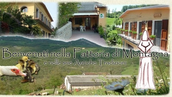 Azienda Agrituristica Biologica Ca' De Fra', Casine