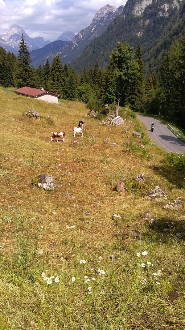 La Malga Del Piussi, Chiusaforte