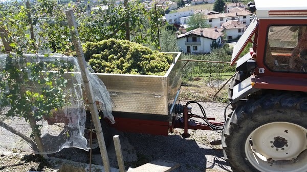 Foto di Da Laura - 8/10