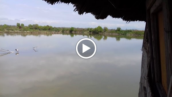 Valle Canal Novo, Marano Lagunare