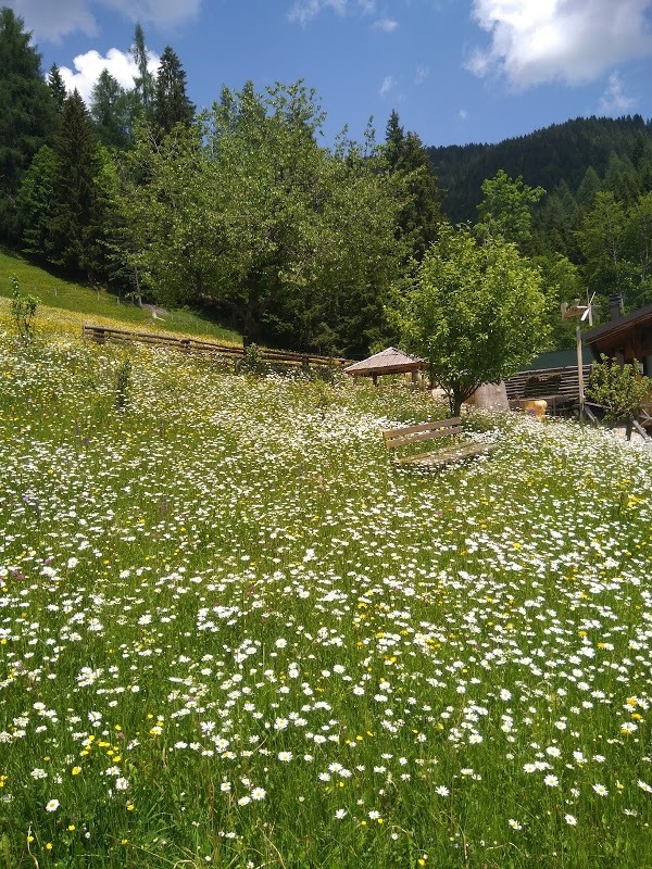 Agriturismo - Jausenstation "da Michael", Malborghetto-Valbruna