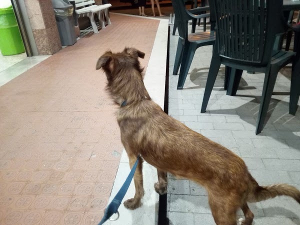 L'artigiano Del Gelato Snc Di Degenhardt Carlo E Zuccheri Aldino, San Vito al Torre