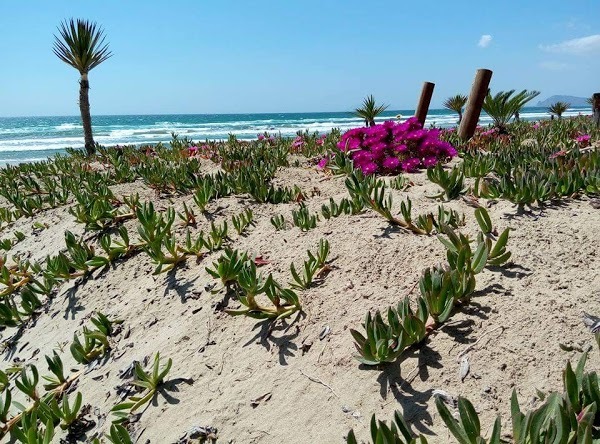 Lido Tre Conchiglie, Sperlonga