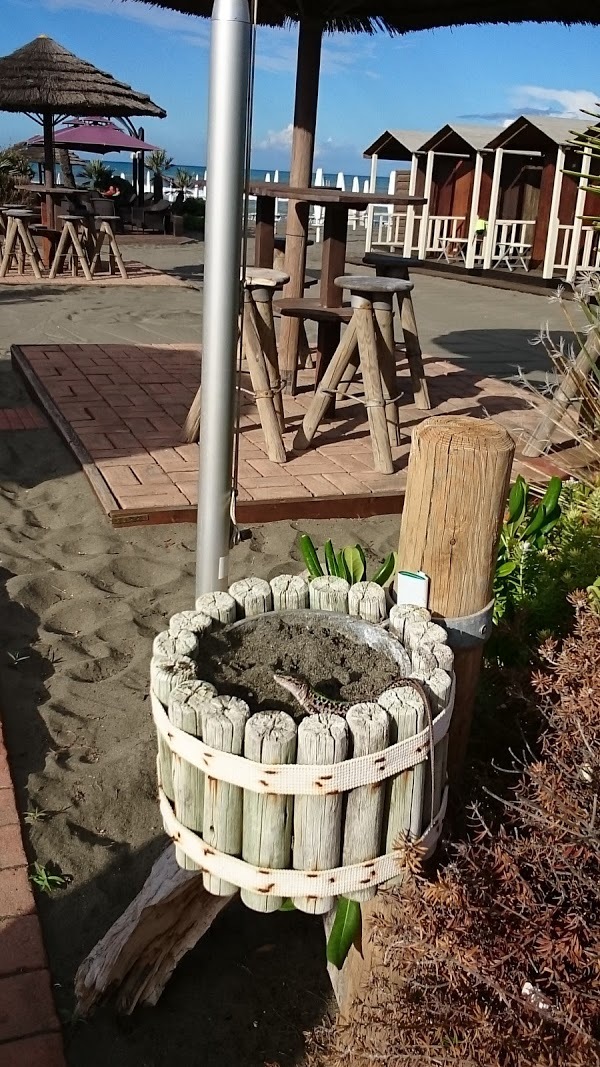 Corallo Beach Restaurant, Lido di Ostia