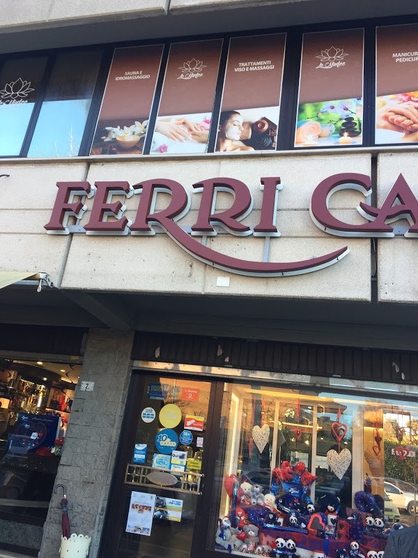 Ferri Sas Di Ferri Vincenzo E C., Genzano di Roma