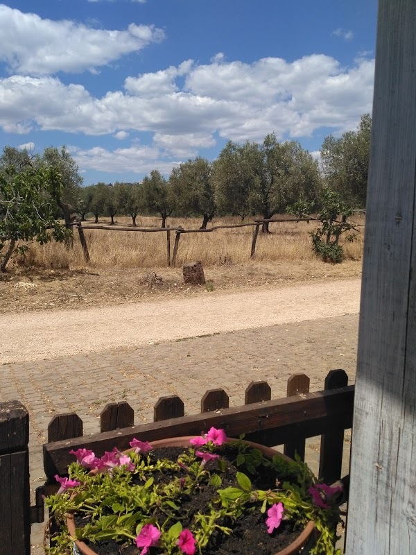 Agriturismo Il Casale Del Cavaliere, Lanuvio