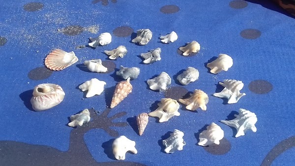 Guerrino Beach, Lido di Ostia