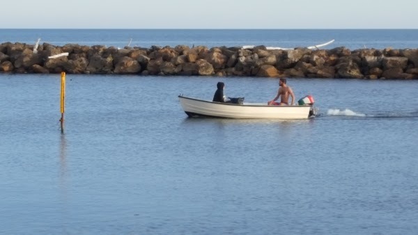 Foto di La Gattammare - 10/10