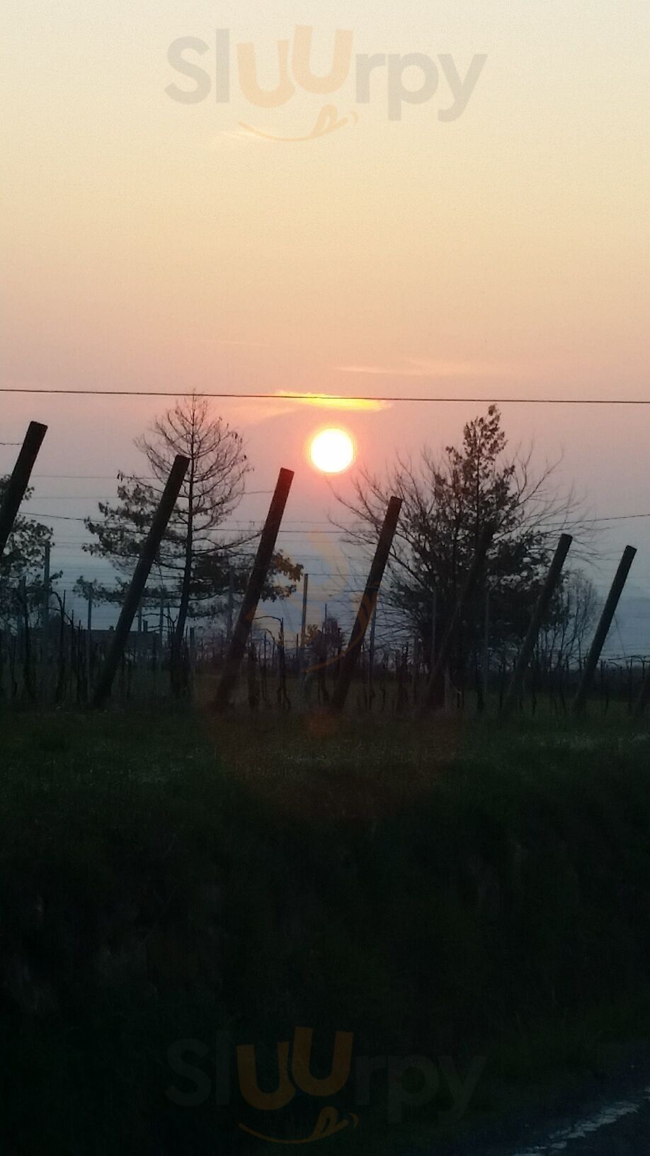 Agriturismo La Brenta, Carpeneto