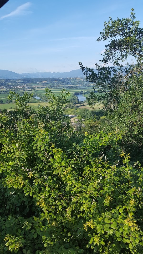 Natural Smile, Ponzano Romano