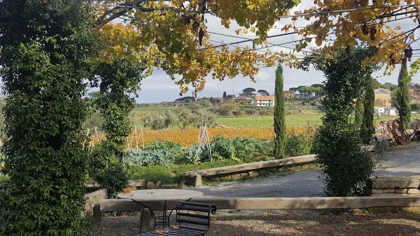 Cantine Santa Benedetta, Monte Porzio Catone