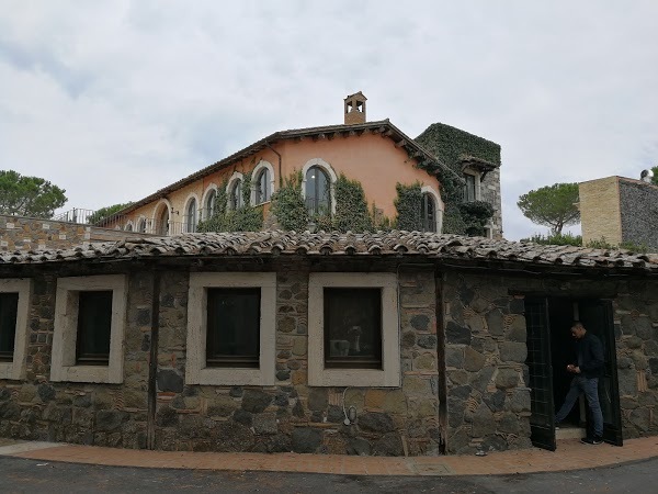 Foto di Tenuta Di Ripolo - 8/10