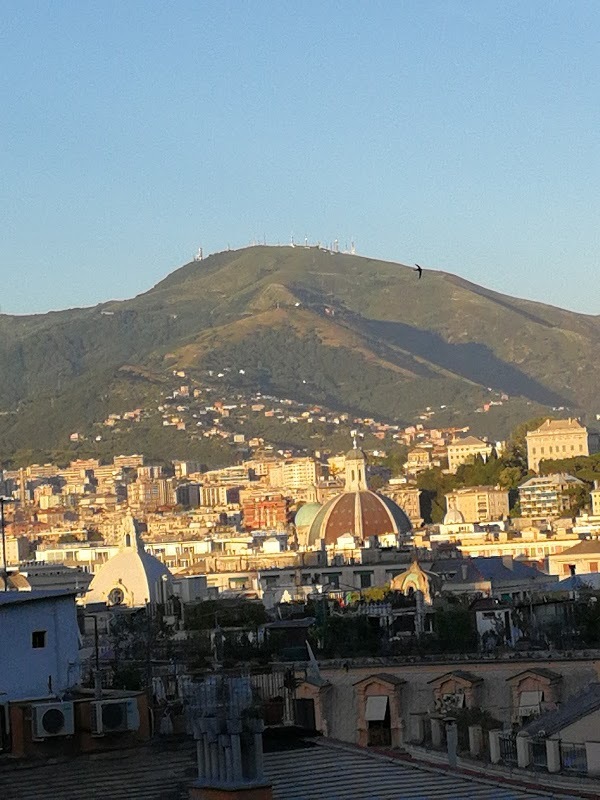 Braxe, Genova