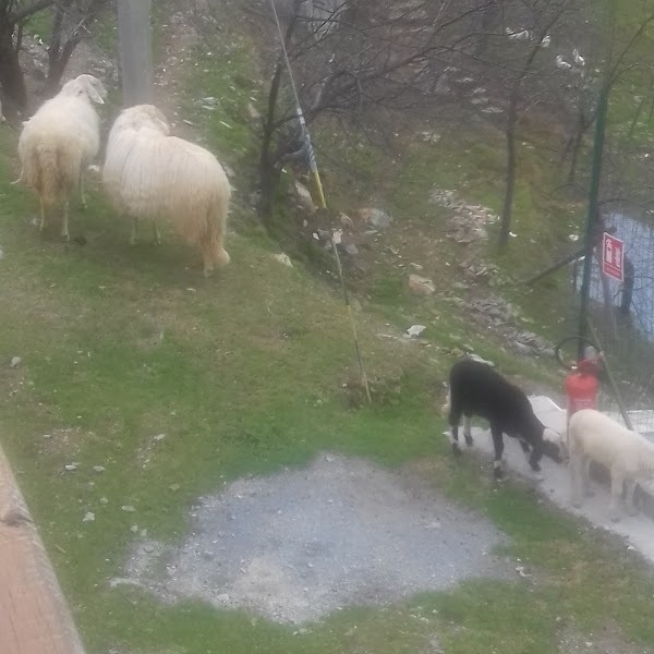Foto di Agriturismo Verde Gioia - 9/10