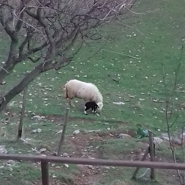 Foto 4