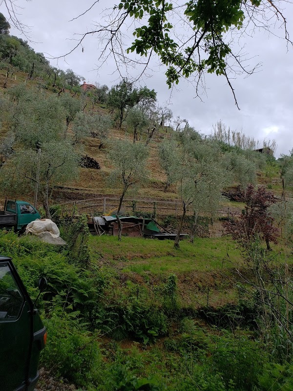 Ristorante Mulino Del Gassetta, Santa Margherita Ligure