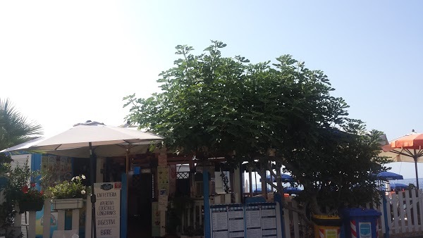 Bagni Il Gigante, Monterosso