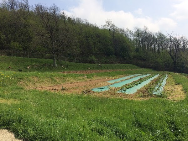 Agriturismo Bertin, Campo Ligure