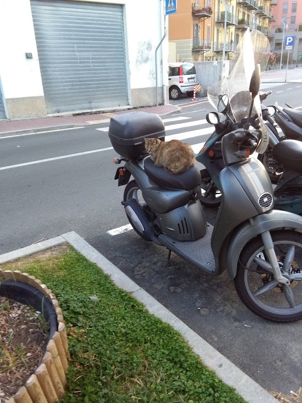 Foto di Bagnarci - 9/10